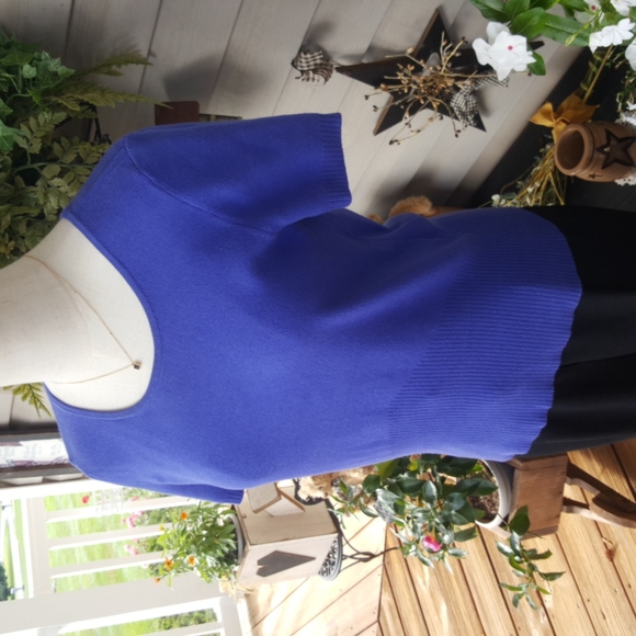 PETITE SOPHISTICATE ♡ Gorgeous 2pc Vintage Royal Blue Knit STRETCH Sweater Set S - Picture 6 of 14